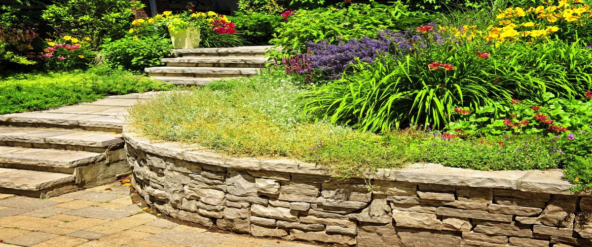 Arborist Wayne PA