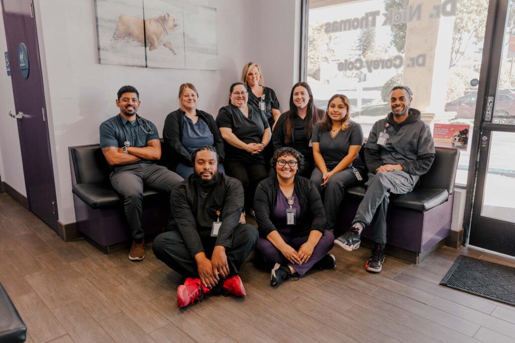 SoCal Veterinary Hospital