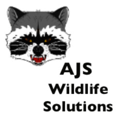 AJS Wildlife Solutions logo