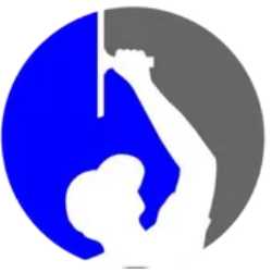 Professional Window Cleaning SD LLC logo