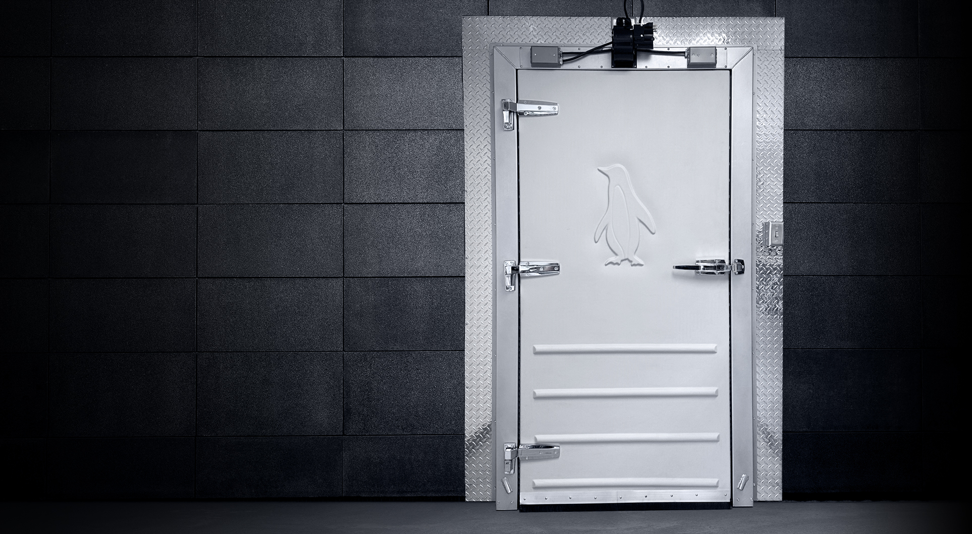 Penguin Door Co.