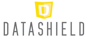 DataShield Corporation logo