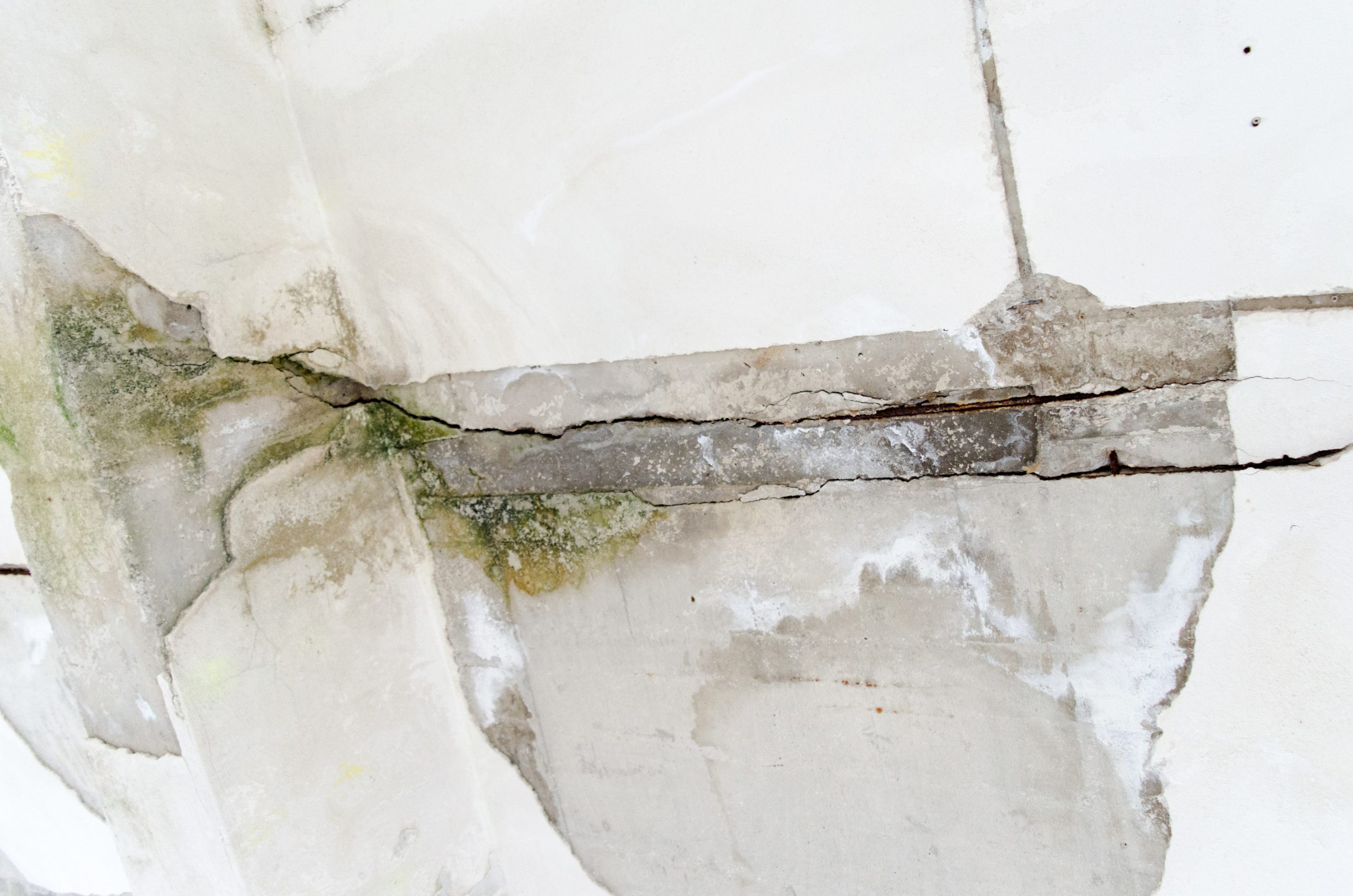 Bloque Water Damage Restoration