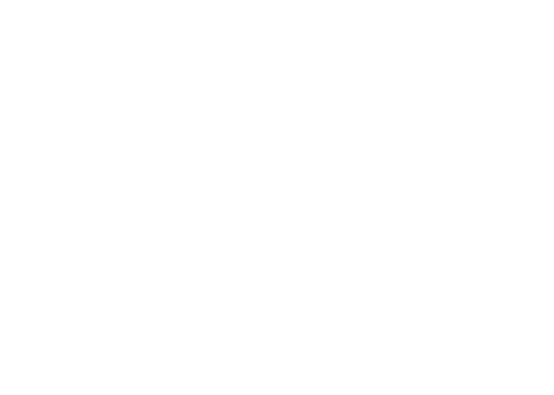 Bear Brothers Roofing logo