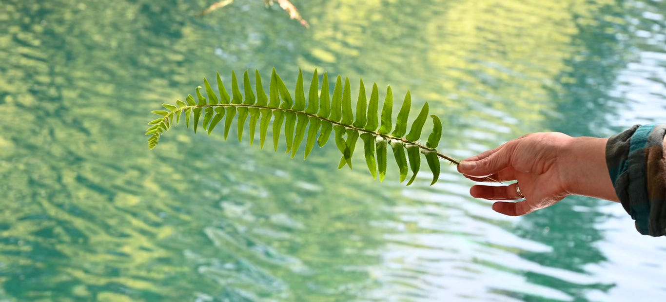 Health in Her Hands: Menopause and Weight Loss