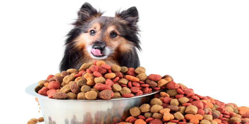 Powerhouse Dog Supply