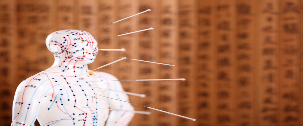 WholeSelf Acupuncture and Herbal Medicine