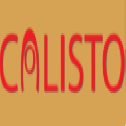 Calisto Corporation logo