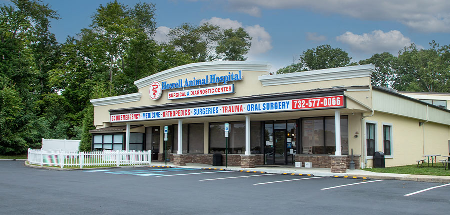 Howell Animal Hospital
