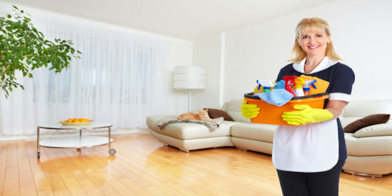 Dust and Mop House Cleaning of Raleigh