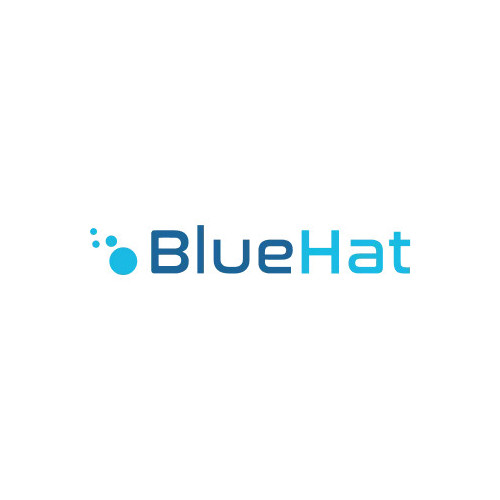 BlueHat LLC logo