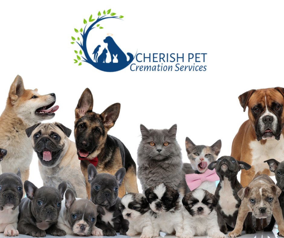 Cherish Pet Cremations
