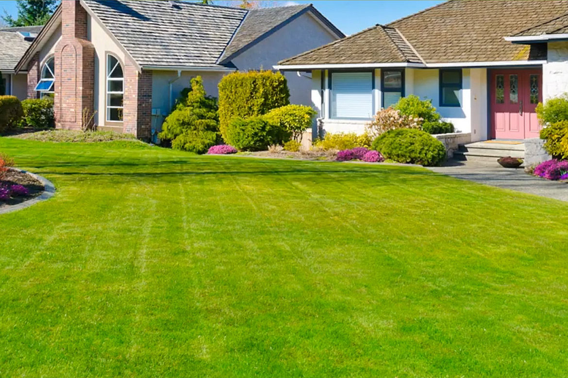 Tony & Joe’s Landscaping Services