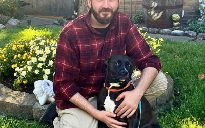 Bark Busters Home Dog Training Tucson