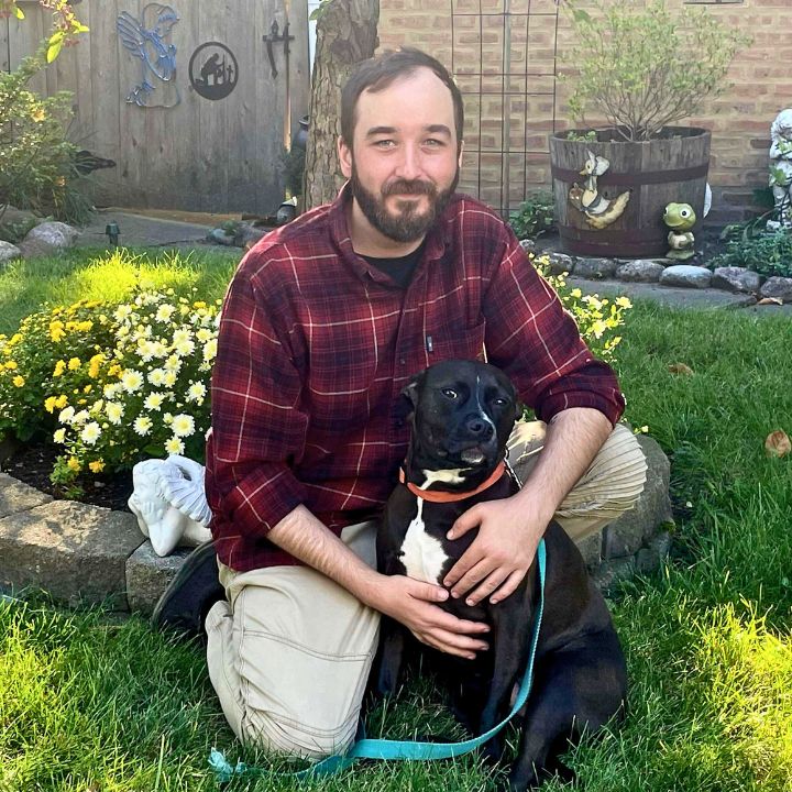 Bark Busters Home Dog Training Tucson