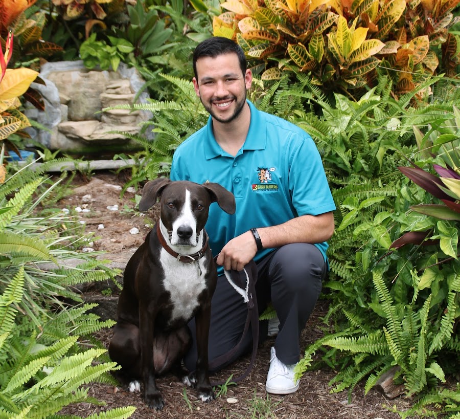 Bark Busters Home Dog Training Santa Clara County West