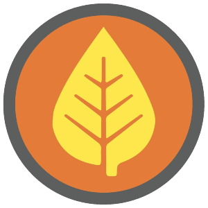 Aspen Auto Clinic – Monument logo