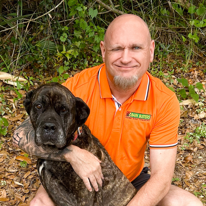 Bark Busters Home Dog Training Brevard County