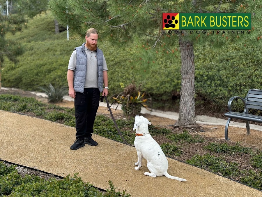 Bark Busters Home Dog Training Orange County South