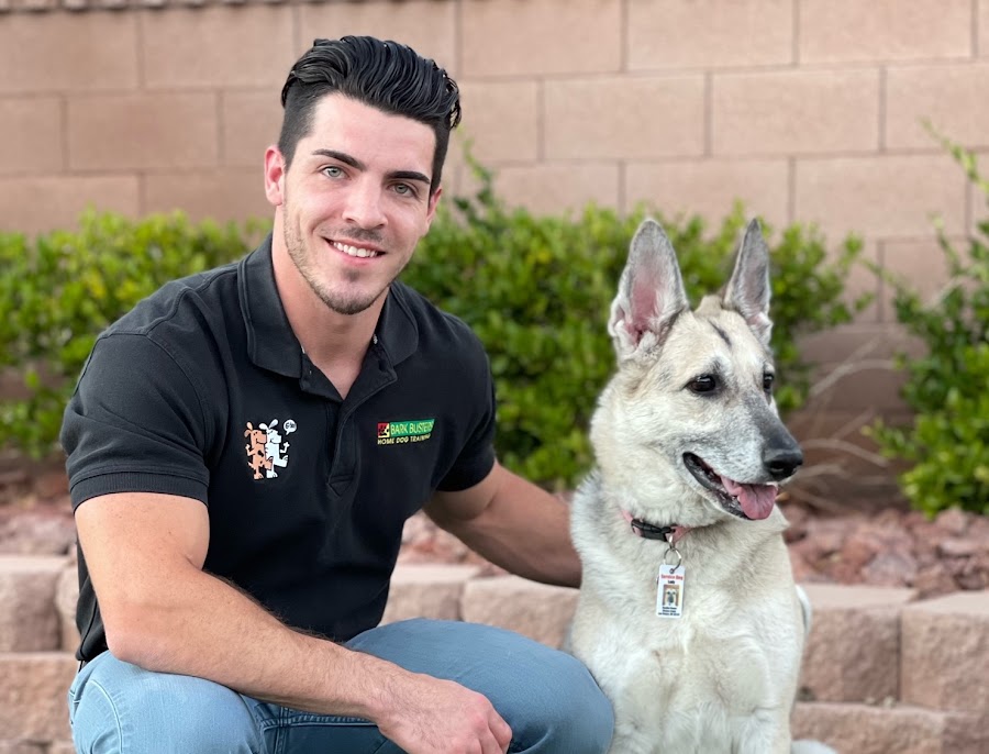 Bark Busters Home Dog Training Houston
