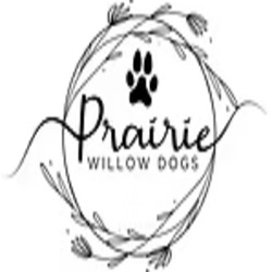 Prairie Willow Dogs logo