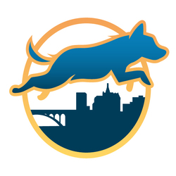 Bridge City Veterinary Rehabilitation logo