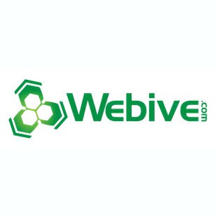 Webive Digital Marketing logo