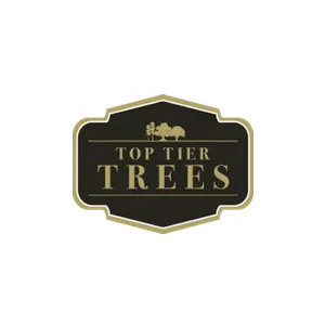 Top Tier Trees logo