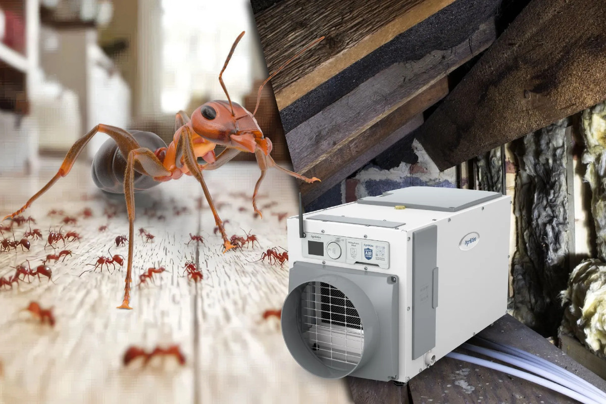 Priority Pest Crawlspace / Structural / Moisture Experts