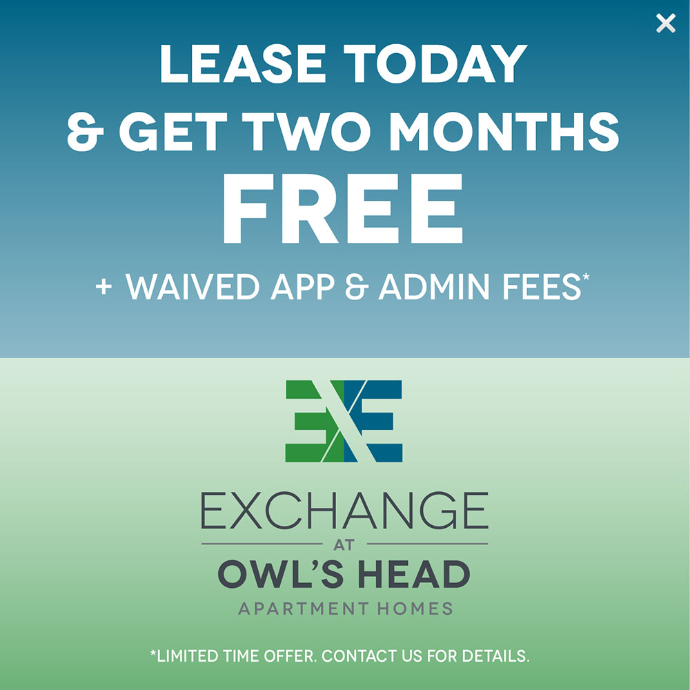 Exchange at Owl’s Head