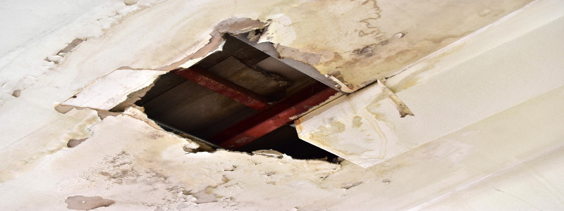 Environment Control North Seattle Restoration Services