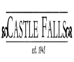 Castle Falls logo
