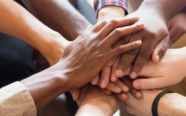 Youth Intervention Programs Association